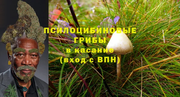 2c-b Беломорск